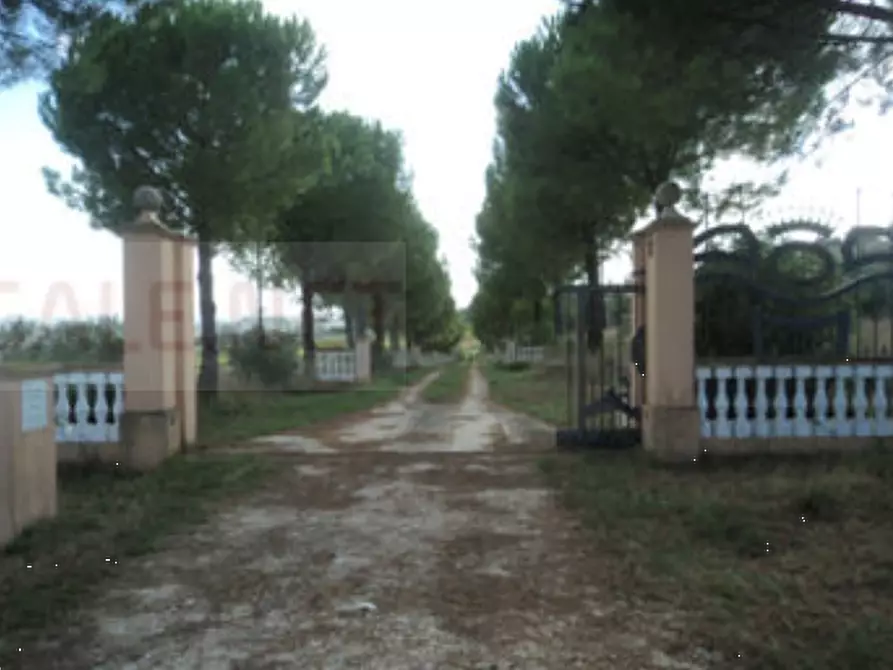 Immagine 5 di Appartamento in vendita  in Via Santa Colomba a Rapagnano