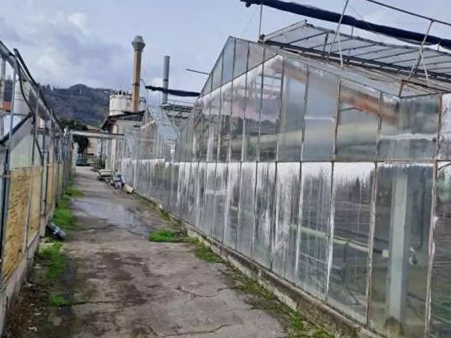 Immagine 8 di Magazzino in vendita  in Via Cinzio Cenedese a Vittorio Veneto
