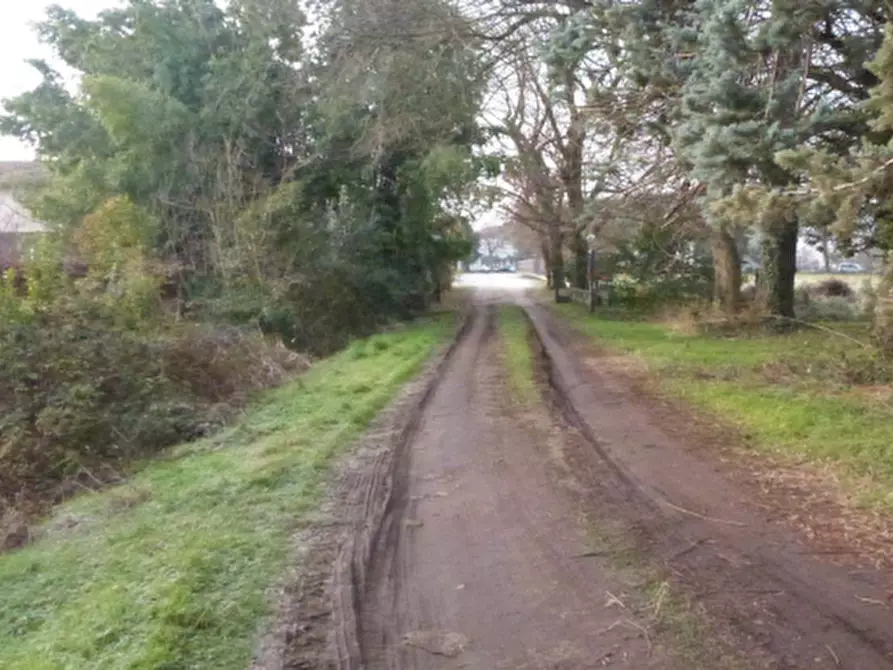 Immagine 32 di Villa in vendita  in Via Roma a Codognè