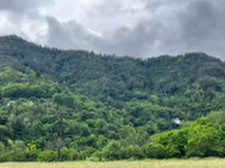 Immagine 2 di Terreno agricolo in vendita  in Località Sant'Antonino di Torriana e Combe a Barge