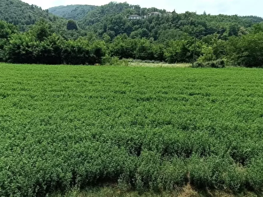 Immagine 1 di Terreno agricolo in vendita  in VIA GARESSIO  a Ceva