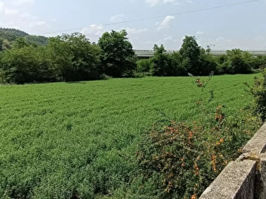 Immagine 2 di Terreno agricolo in vendita  in VIA GARESSIO  a Ceva