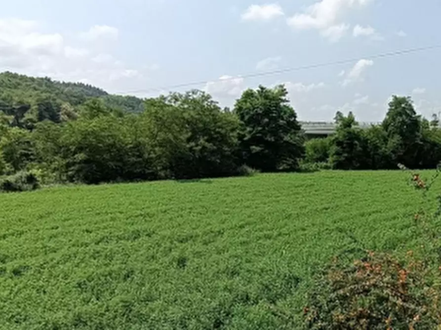 Immagine 3 di Terreno agricolo in vendita  in VIA GARESSIO  a Ceva