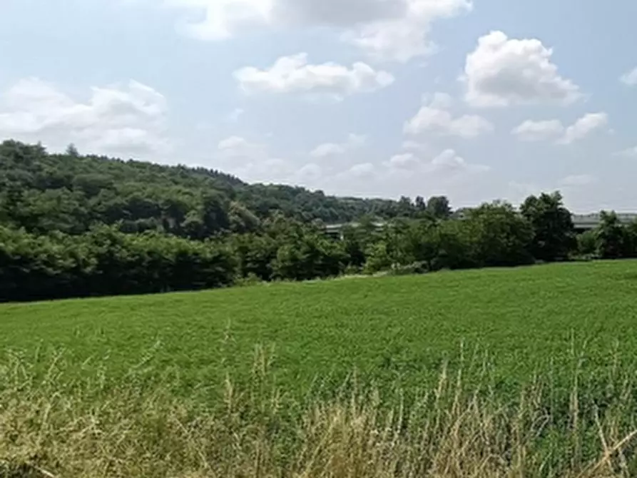 Immagine 9 di Terreno agricolo in vendita  in VIA GARESSIO  a Ceva