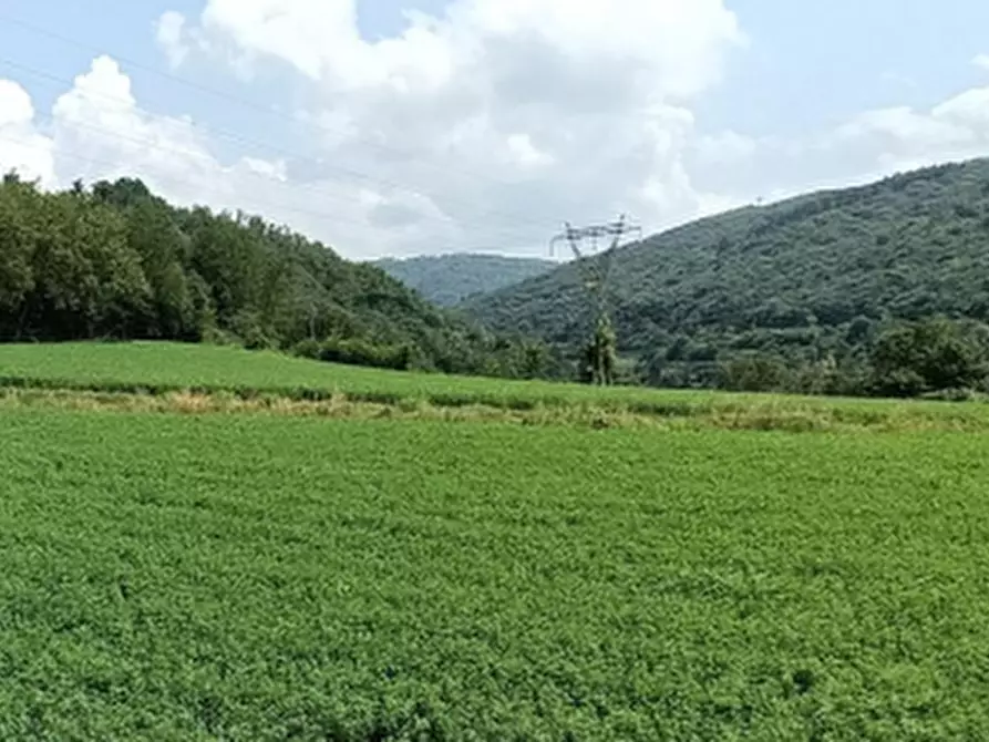 Immagine 10 di Terreno agricolo in vendita  in VIA GARESSIO  a Ceva