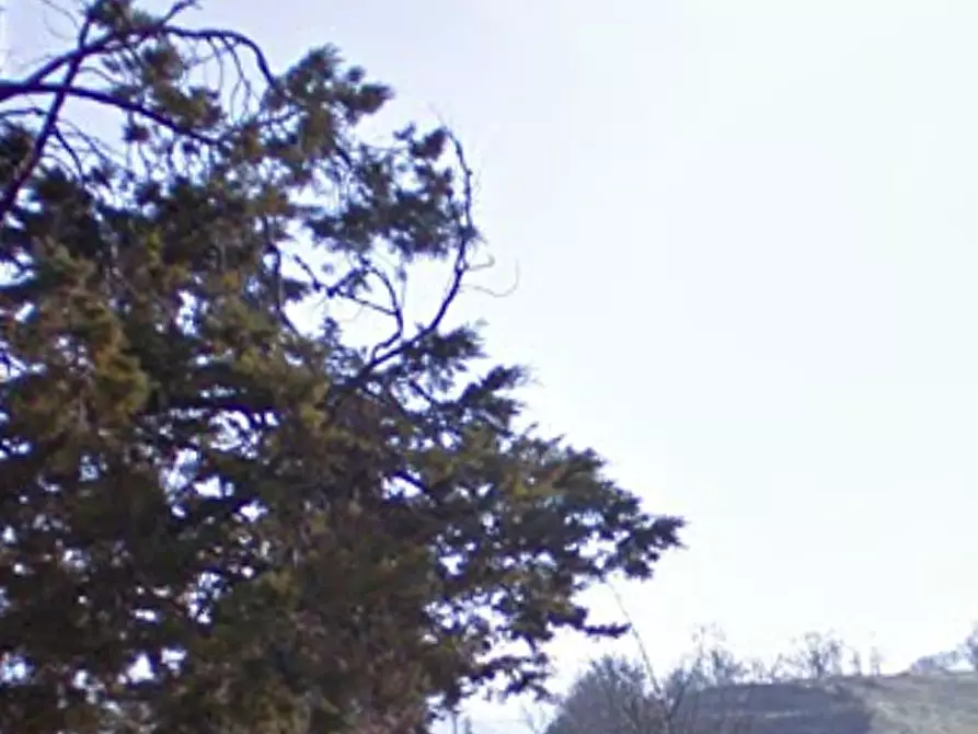 Immagine 24 di Casa indipendente in vendita  in Via Cà Bicci a Pennabilli