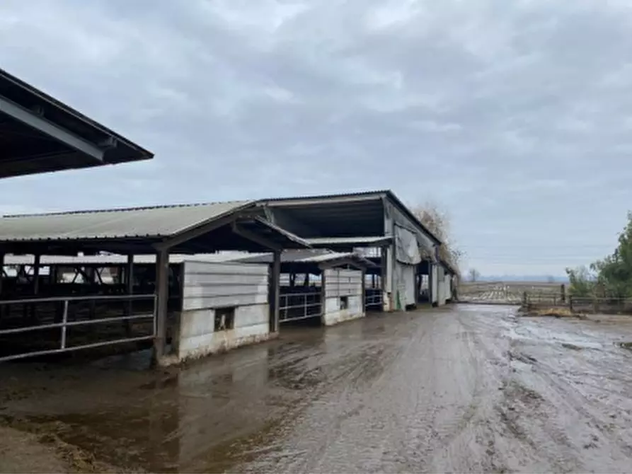 Immagine 1 di Terreno agricolo in vendita  in Cascina Livelli Goldanino a Senna Lodigiana