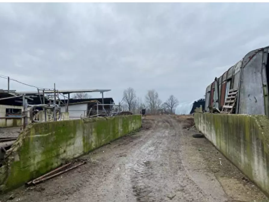 Immagine 4 di Terreno agricolo in vendita  in Cascina Livelli Goldanino a Senna Lodigiana