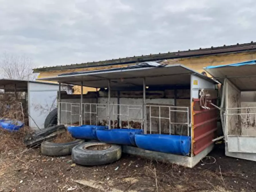 Immagine 5 di Terreno agricolo in vendita  in Cascina Livelli Goldanino a Senna Lodigiana
