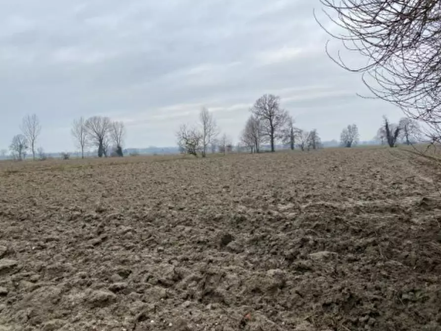 Immagine 9 di Terreno agricolo in vendita  in Cascina Livelli Goldanino a Senna Lodigiana