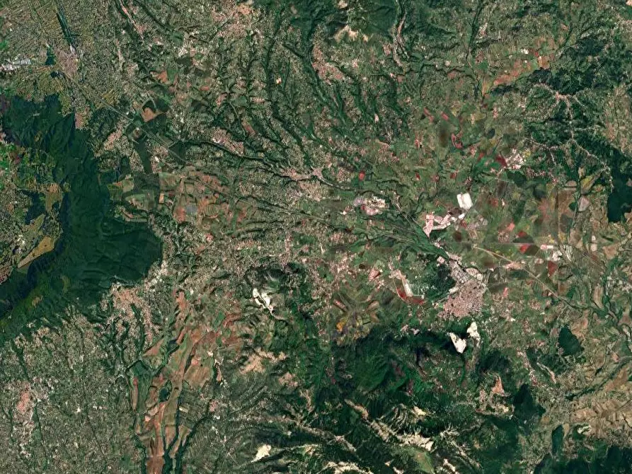 Immagine 3 di Terreno agricolo in vendita  in Via Valli a Artena