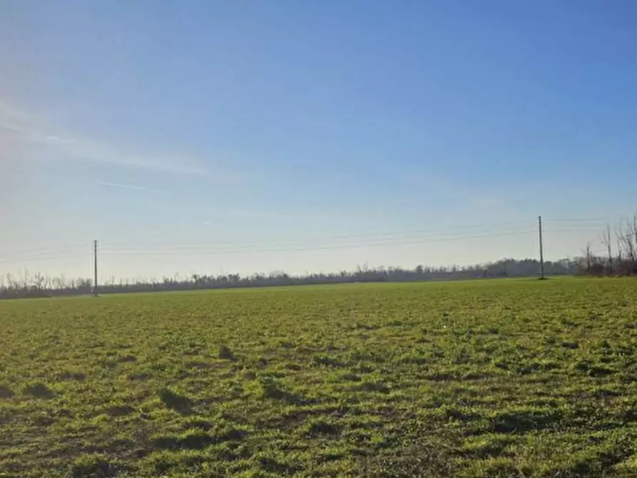 Immagine 1 di Terreno agricolo in vendita  in Località Dairago a Dairago