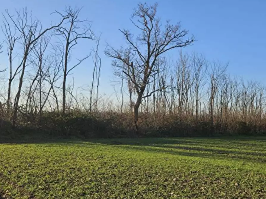 Immagine 2 di Terreno agricolo in vendita  in Località Dairago a Dairago