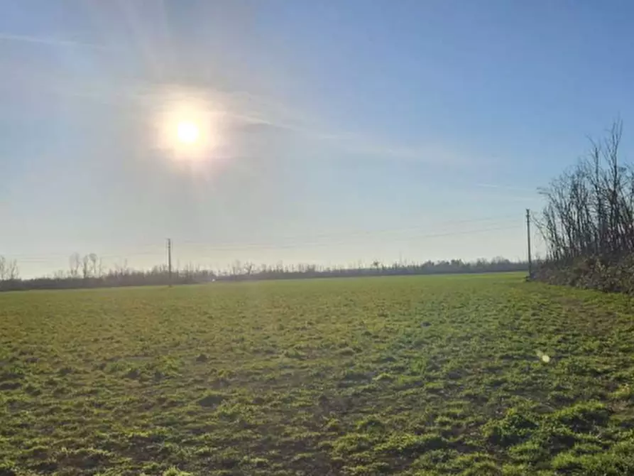 Immagine 4 di Terreno agricolo in vendita  in Località Dairago a Dairago