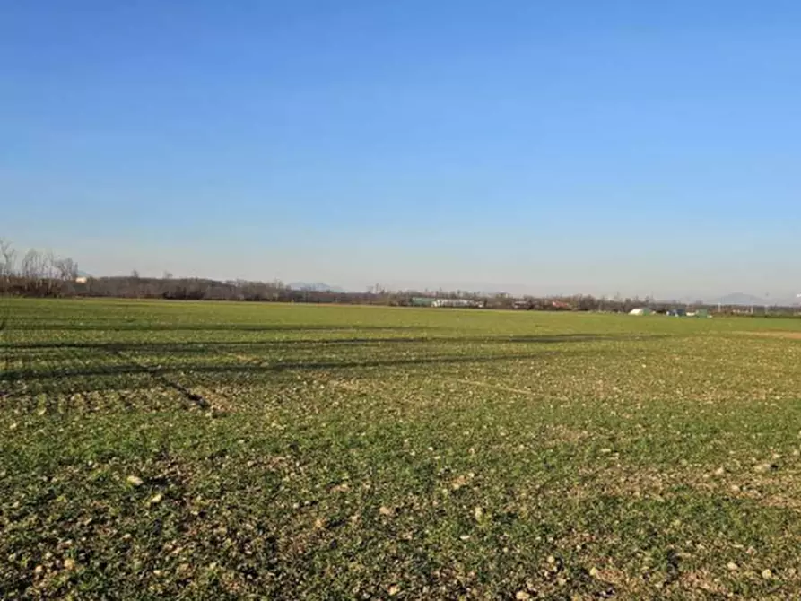 Immagine 5 di Terreno agricolo in vendita  in Località Dairago a Dairago