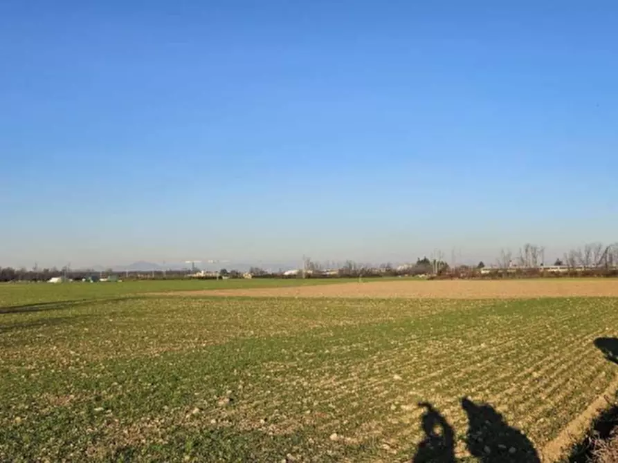 Immagine 6 di Terreno agricolo in vendita  in Località Dairago a Dairago