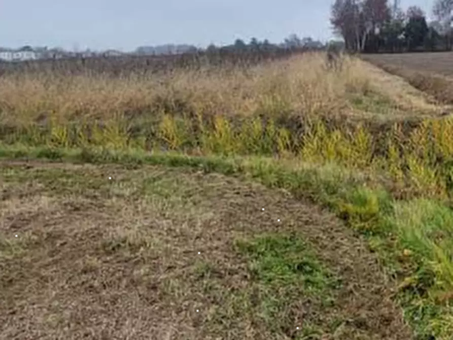 Immagine 1 di Terreno edificabile in vendita  in Mussetta Di Sopra a San Donà Di Piave