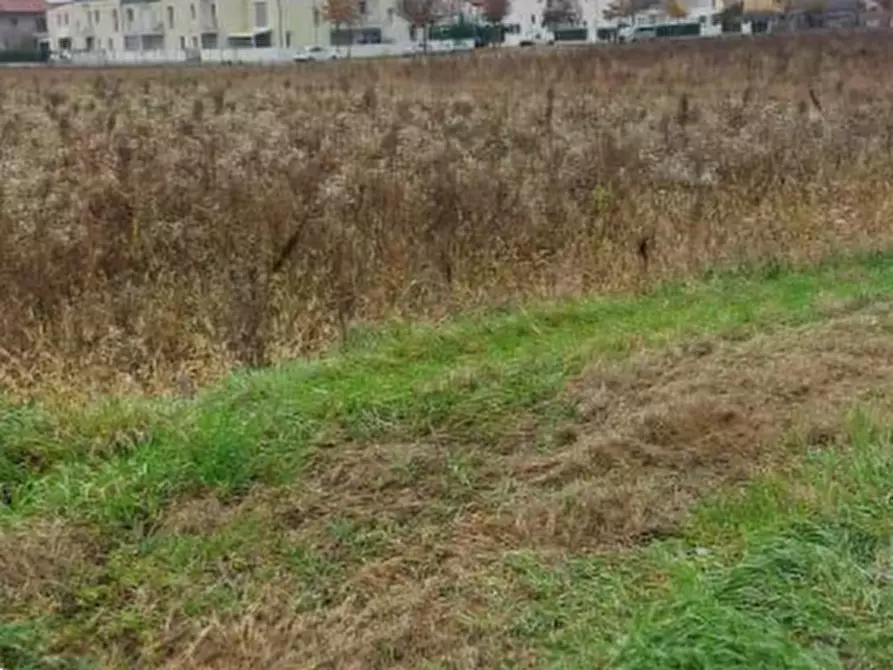 Immagine 4 di Terreno edificabile in vendita  in Mussetta Di Sopra a San Donà Di Piave
