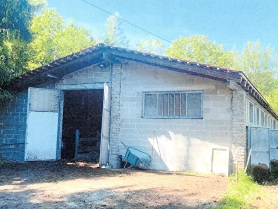 Immagine 3 di Azienda agricola in vendita  in Borgata Pianezzo a Prunetto