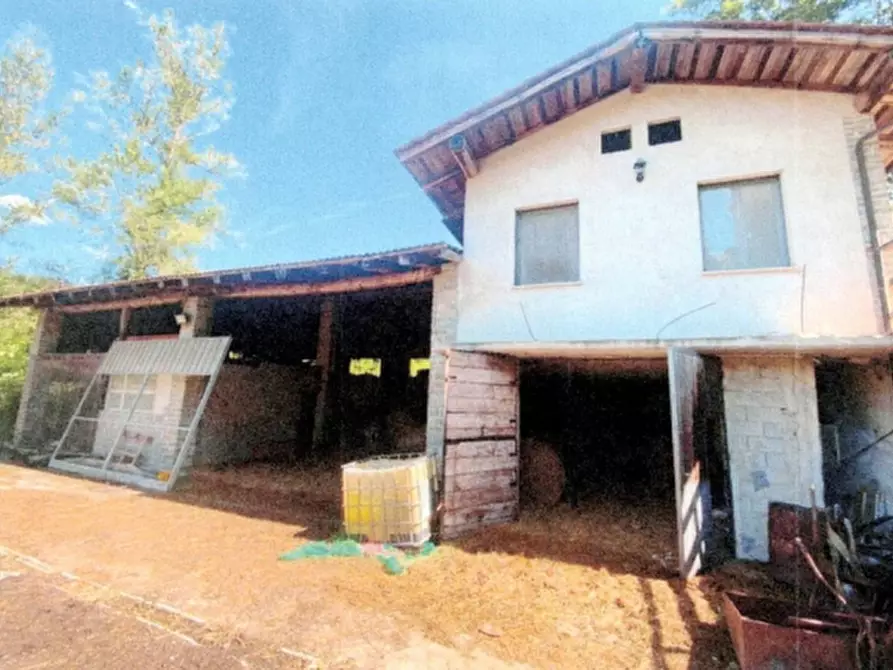 Immagine 5 di Azienda agricola in vendita  in Borgata Pianezzo a Prunetto