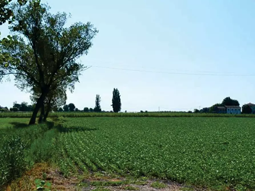 Immagine 1 di Terreno agricolo in vendita  in Via Marola a Villa Bartolomea