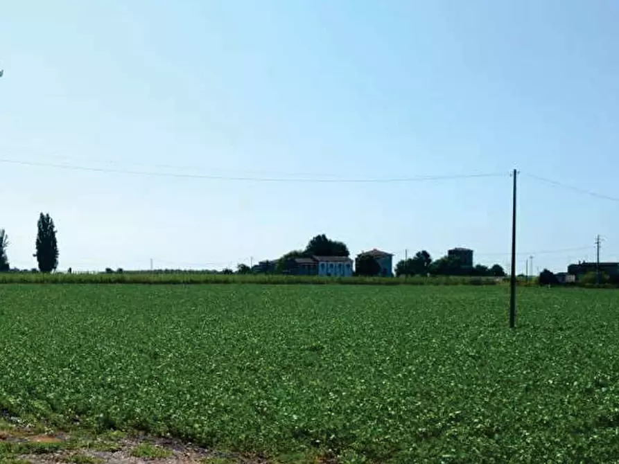 Immagine 2 di Terreno agricolo in vendita  in Via Marola a Villa Bartolomea