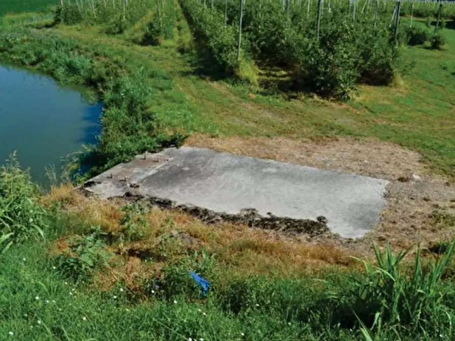 Immagine 3 di Terreno agricolo in vendita  in Via Marola a Villa Bartolomea