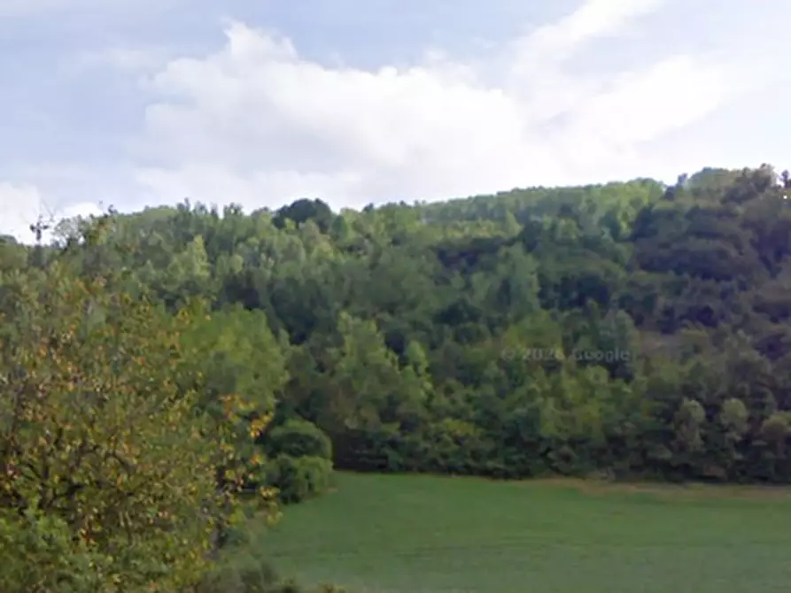 Immagine 7 di Azienda agricola in vendita  in Borgata Pianezzo a Prunetto