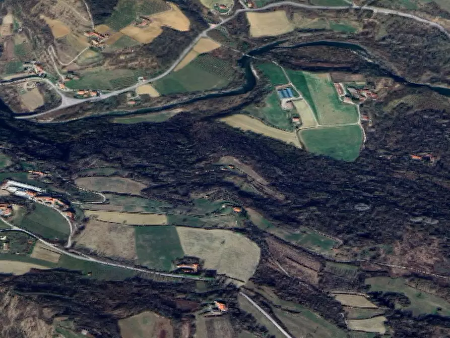 Immagine 9 di Azienda agricola in vendita  in Borgata Pianezzo a Prunetto