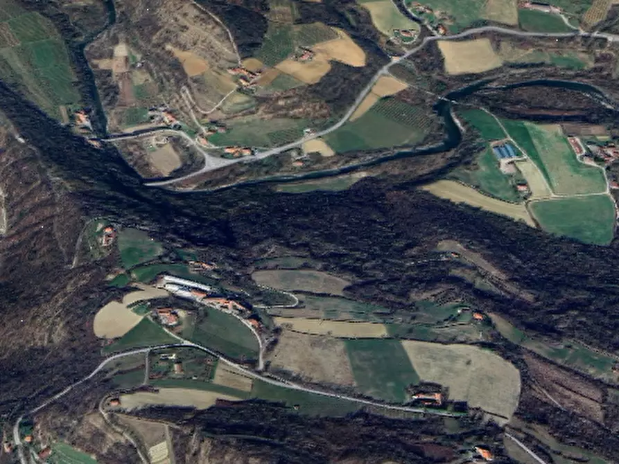 Immagine 10 di Azienda agricola in vendita  in Borgata Pianezzo a Prunetto
