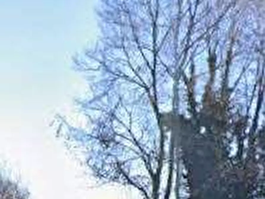 Immagine 11 di Villa in vendita  in via Valgrana a Reano