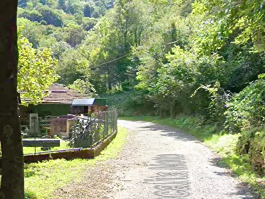 Immagine 8 di Terreno agricolo in vendita  in Via Localita Motto a Valganna