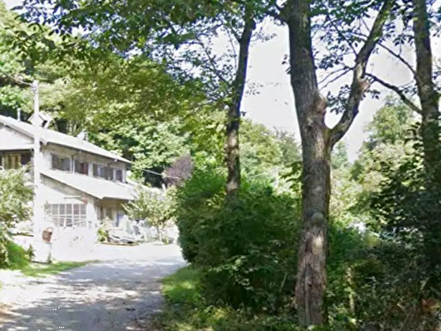 Immagine 9 di Terreno agricolo in vendita  in Via Localita Motto a Valganna