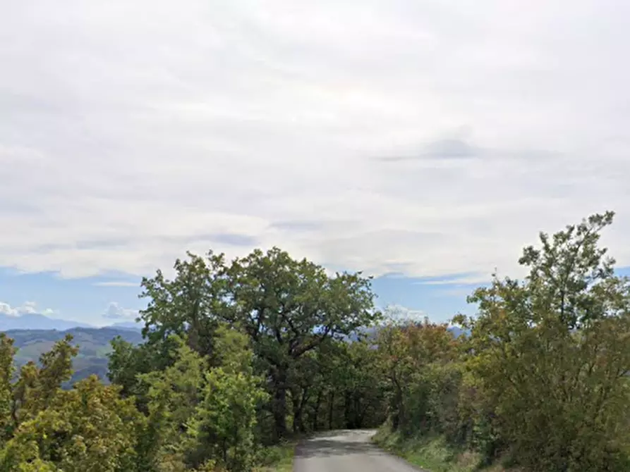 Immagine 4 di Terreno agricolo in vendita  in Via La Marcella a Tavoleto