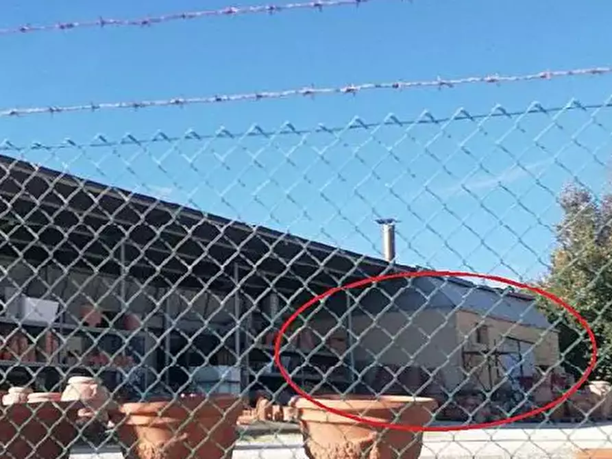 Immagine 3 di Capannone industriale in vendita  in Via Valvagnesca a Sant'ippolito