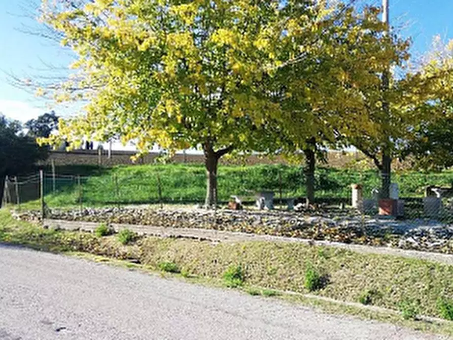 Immagine 11 di Capannone industriale in vendita  in Via Valvagnesca a Sant'ippolito