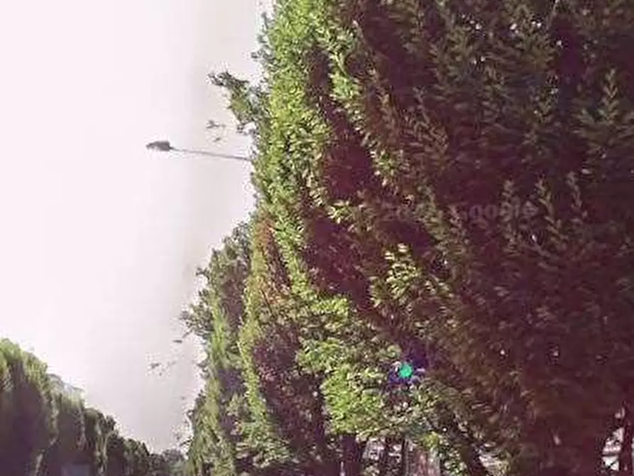 Immagine 4 di Appartamento in vendita  in Via Sandro Botticelli  a Torino