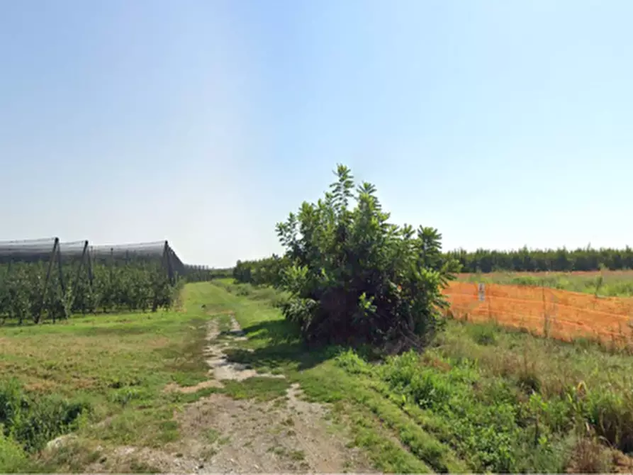 Immagine 1 di Terreno agricolo in vendita  in Via Praetta a Lagnasco