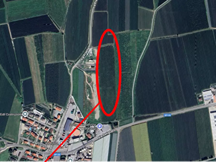 Immagine 4 di Terreno agricolo in vendita  in Via Praetta a Lagnasco