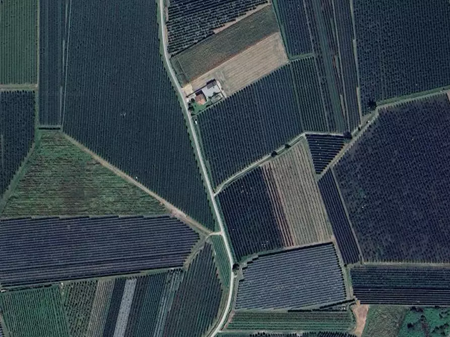 Immagine 9 di Terreno agricolo in vendita  in Via Praetta a Lagnasco