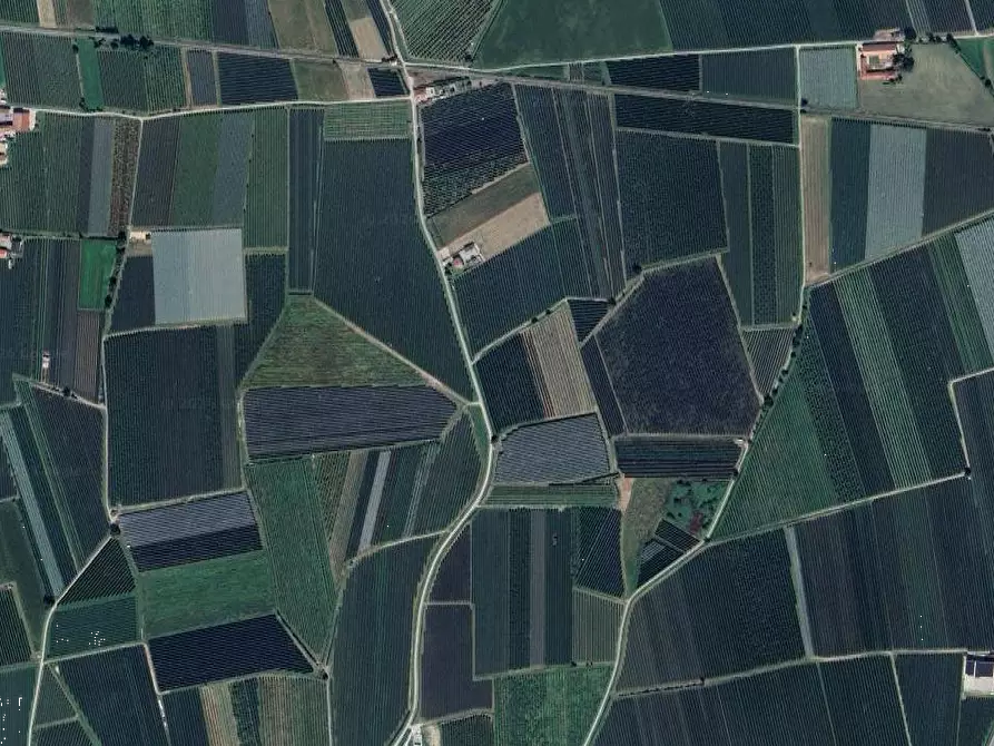 Immagine 8 di Terreno agricolo in vendita  in Via Saluzzo a Lagnasco