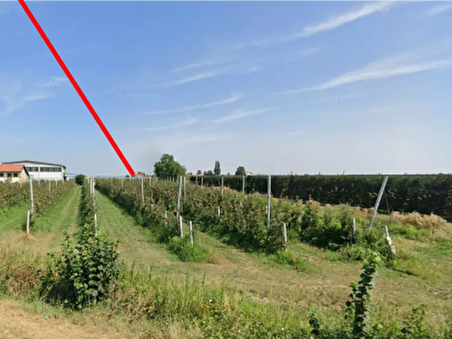 Immagine 3 di Terreno agricolo in vendita  in Via Saluzzo a Lagnasco