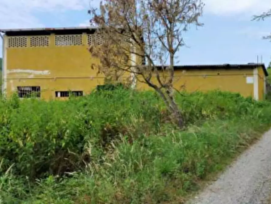 Immagine 5 di Porzione di casa in vendita  in Via Cossano a Maglione