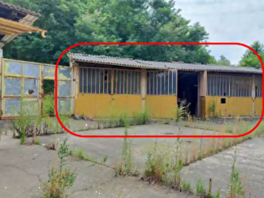 Immagine 6 di Porzione di casa in vendita  in Via Cossano a Maglione