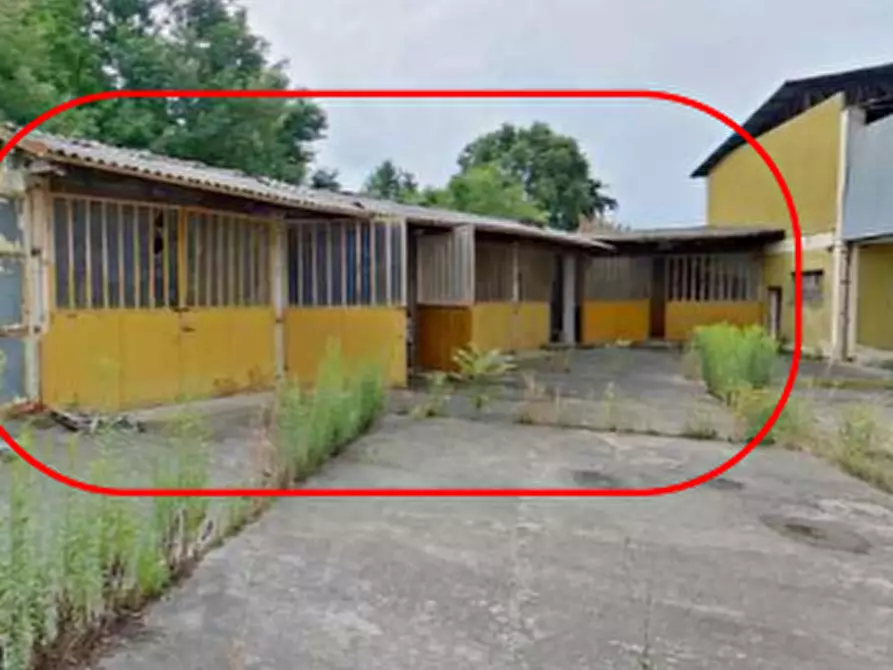 Immagine 9 di Porzione di casa in vendita  in Via Cossano a Maglione
