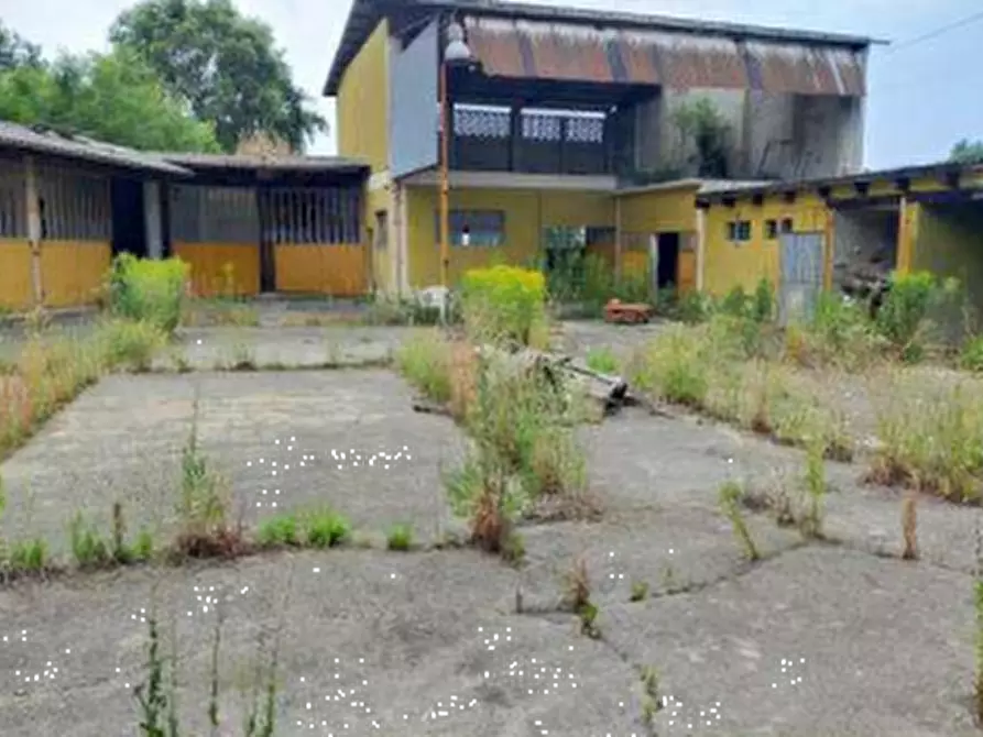 Immagine 21 di Porzione di casa in vendita  in Via Cossano a Maglione
