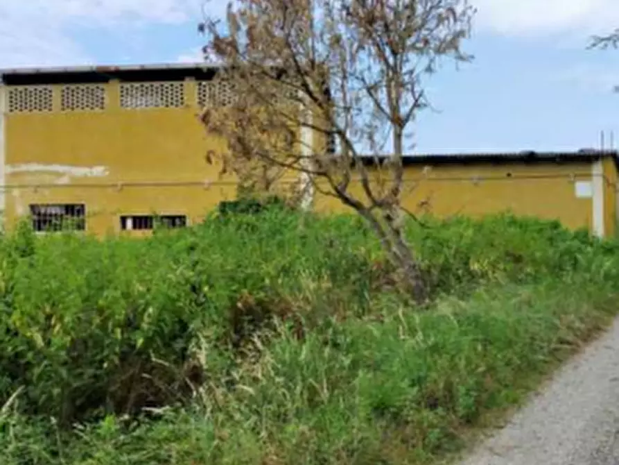 Immagine 23 di Porzione di casa in vendita  in Via Cossano a Maglione