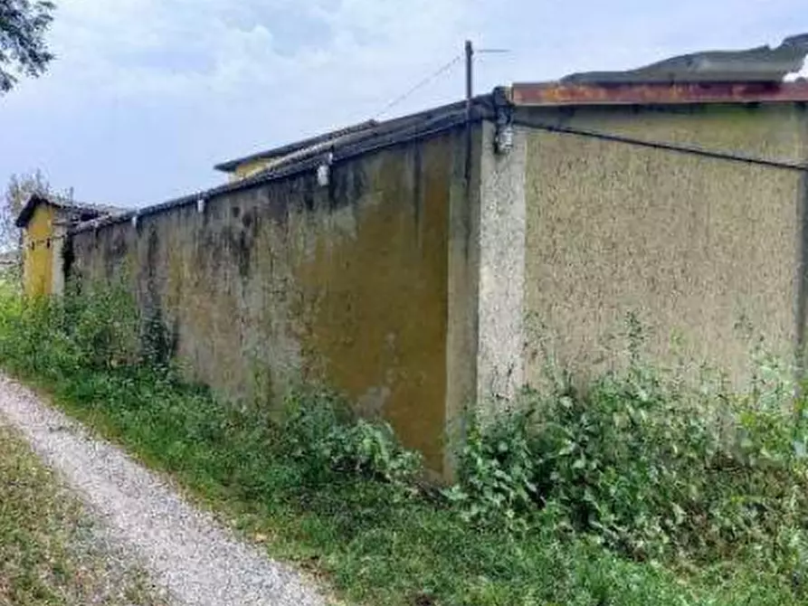 Immagine 35 di Porzione di casa in vendita  in Via Cossano a Maglione
