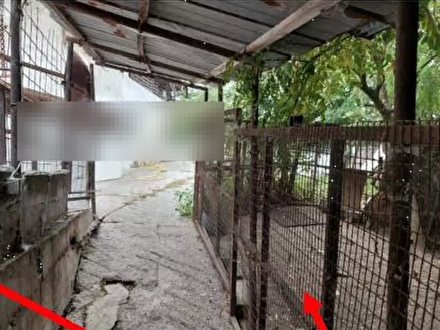 Immagine 9 di Capannone industriale in vendita  in Via Niella Tanaro a Vicoforte