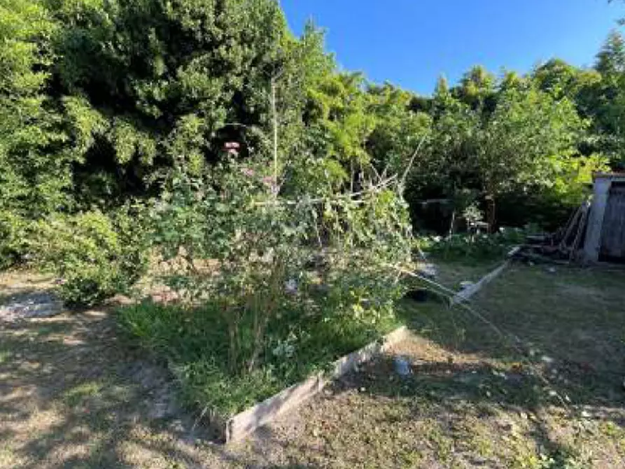 Immagine 10 di Appartamento in vendita  in Via Randaccio a Roncoferraro